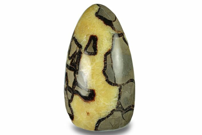 Free-Standing, Polished Septarian - Madagascar #278269